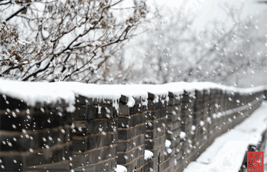 窗外飘着雪