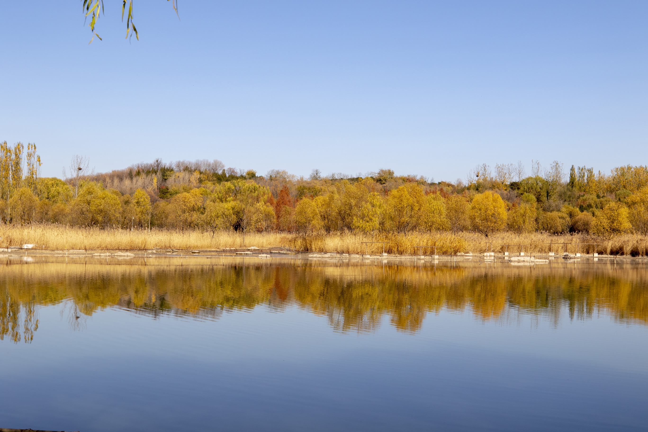 初冬的色彩【vv首发】