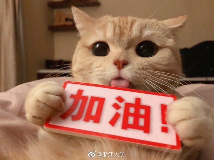 扬帆起航日,金榜题名时