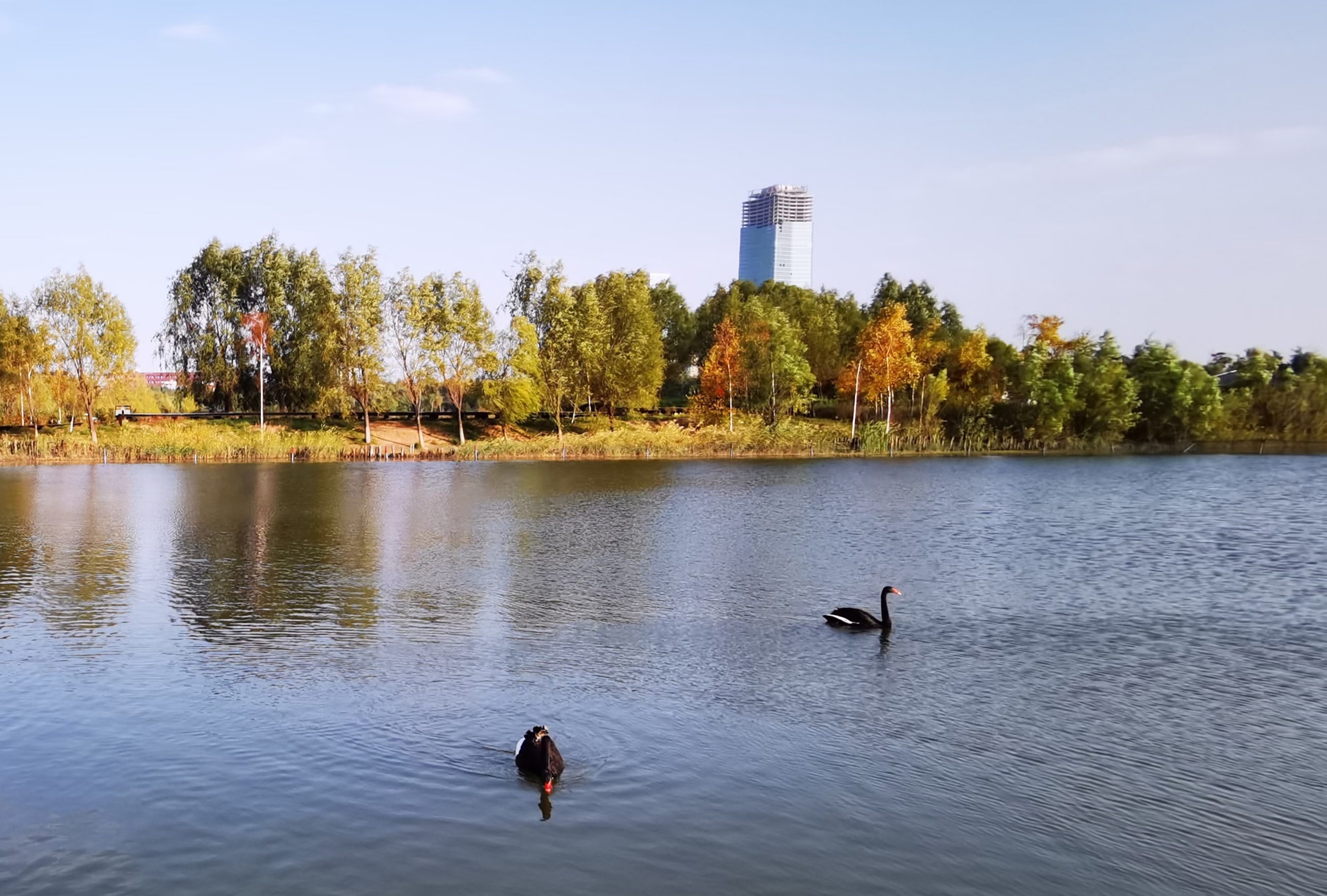 國慶長春北湖溼地公園遊首發