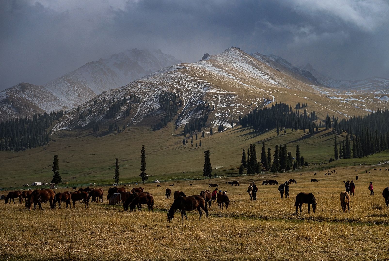 那拉提春节联欢晚会王琪一首可可托海牧羊人的歌曲现在走红在歌中提到