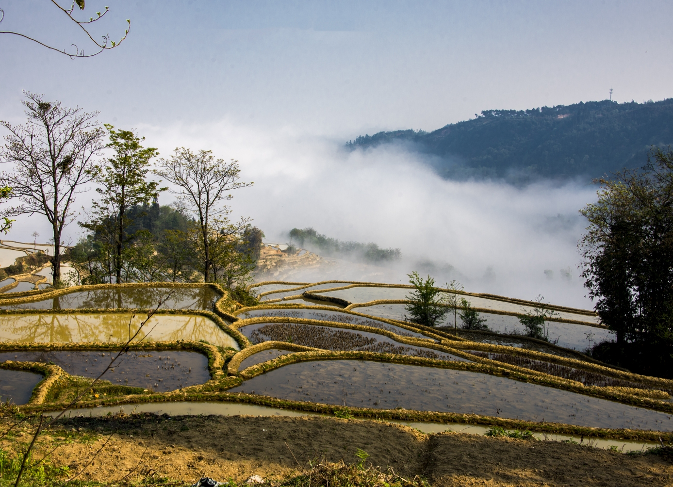 云南红河哈尼族彝族自治州 元阳梯田
