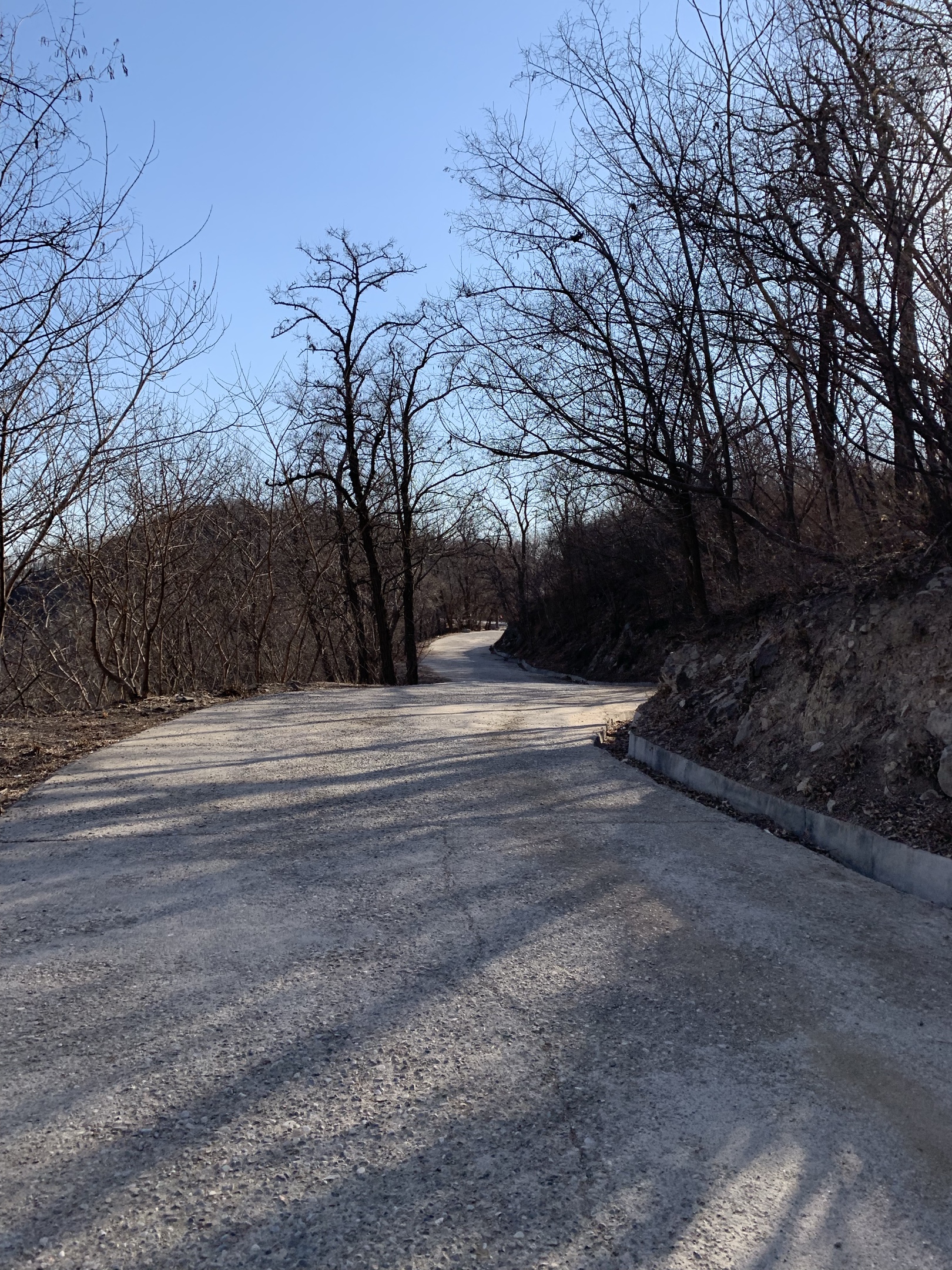 春暖花开挑战香山好汉坡