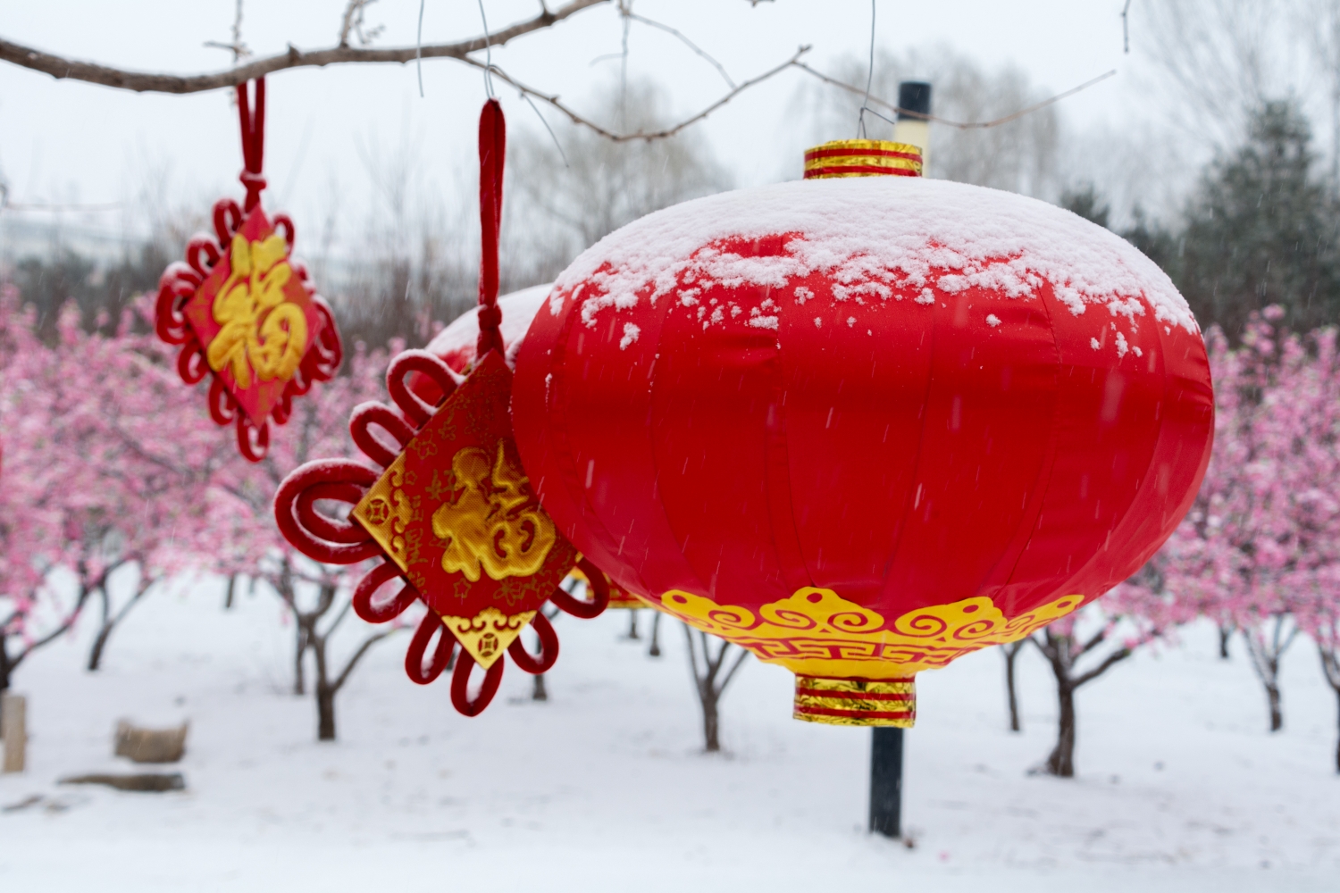 大红灯笼上有点雪更好看了