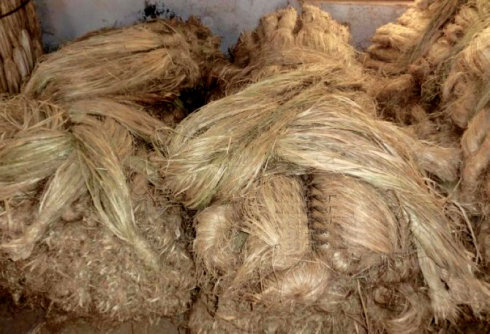 剥下来的成品麻