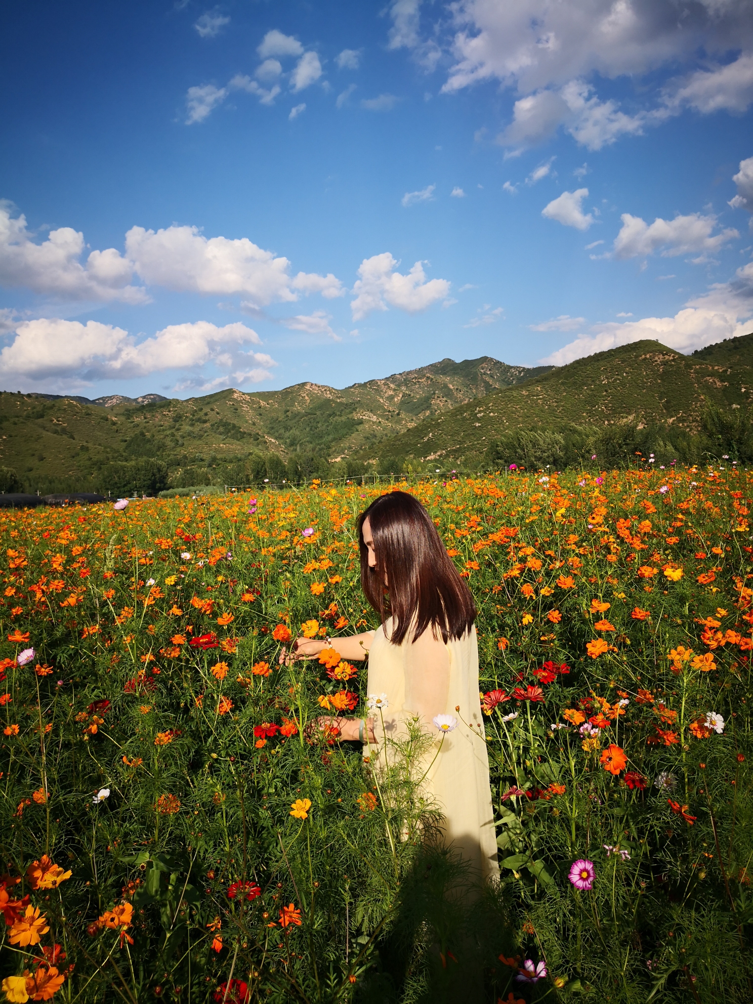 陌上花開