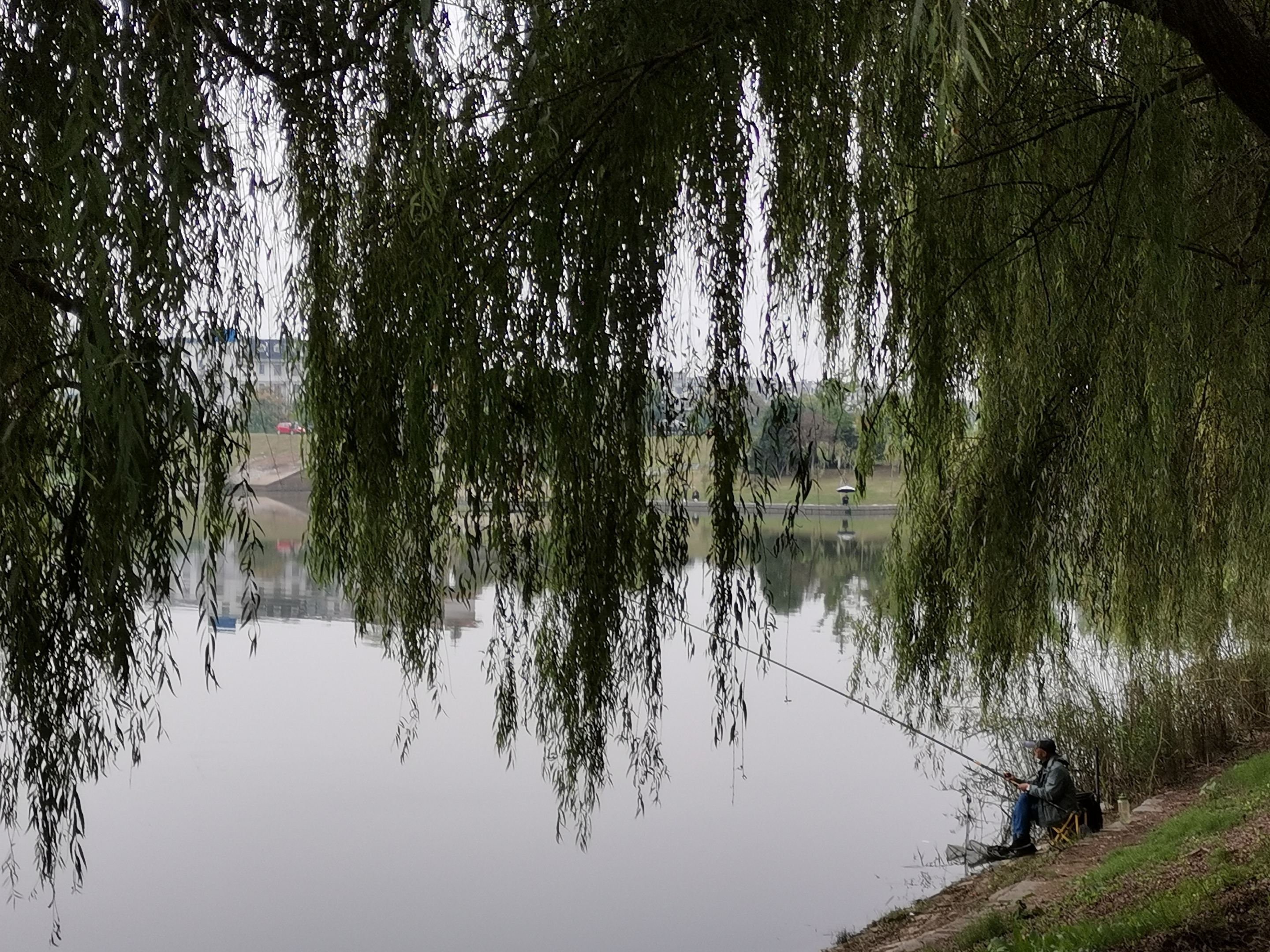 桤木河湿地公园钓鱼图片