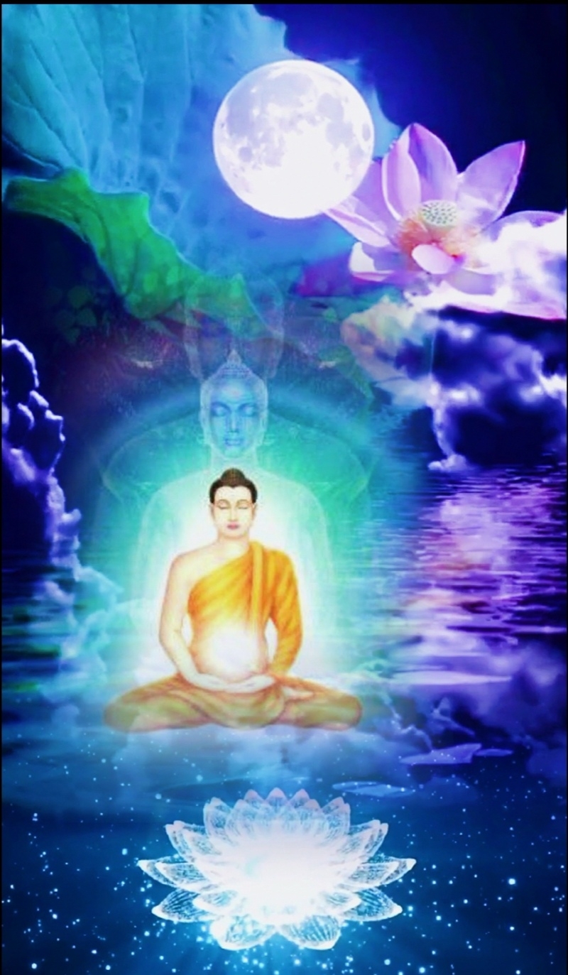 千年古道树万脉连一根