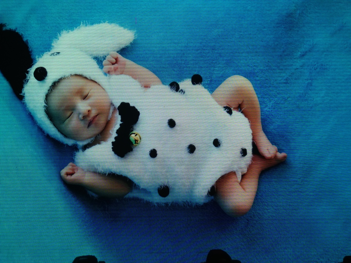 恭贺贺梓煜宝宝百岁岁快乐!