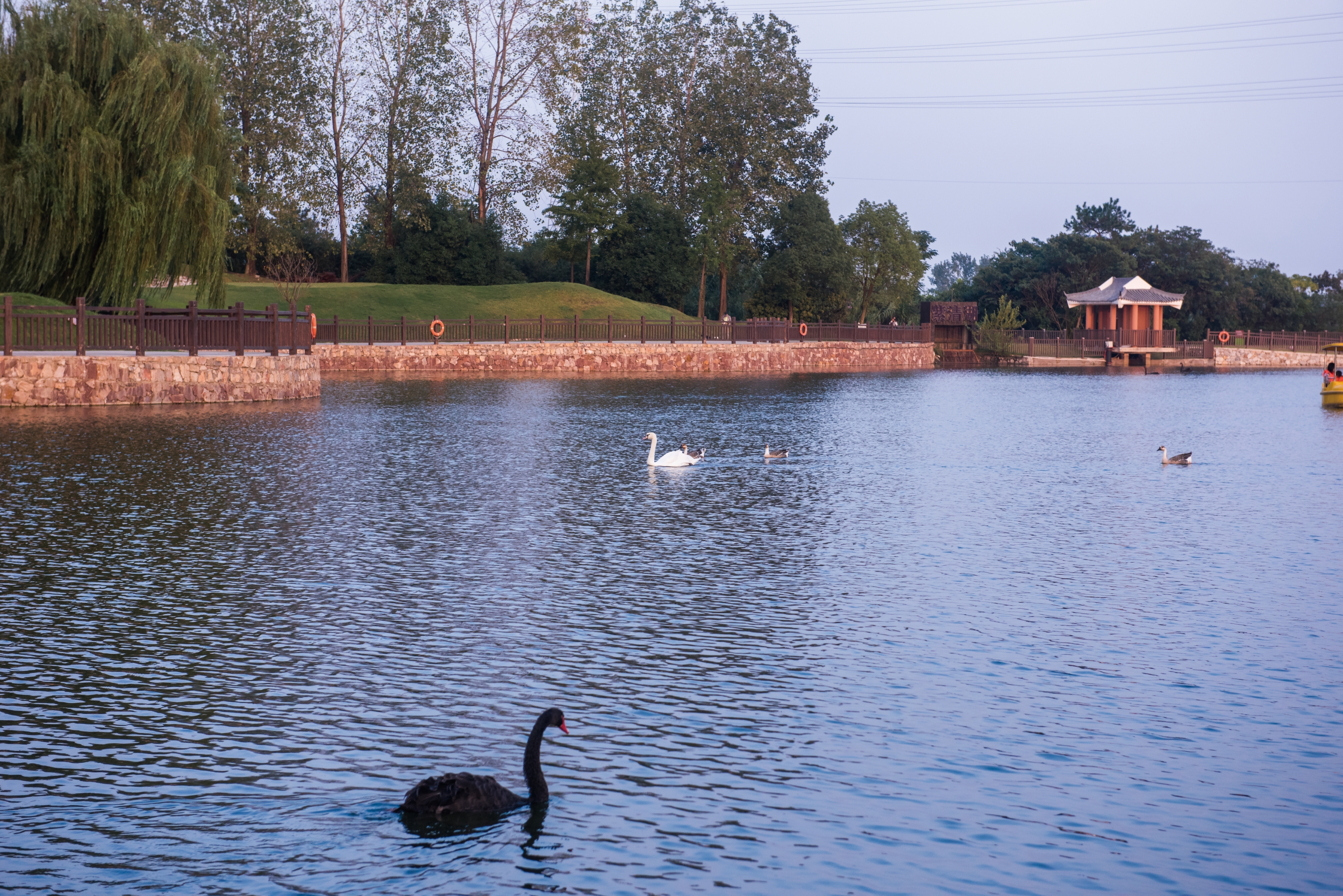 行摄南京东郊小镇汤山之五欢乐的紫清湖
