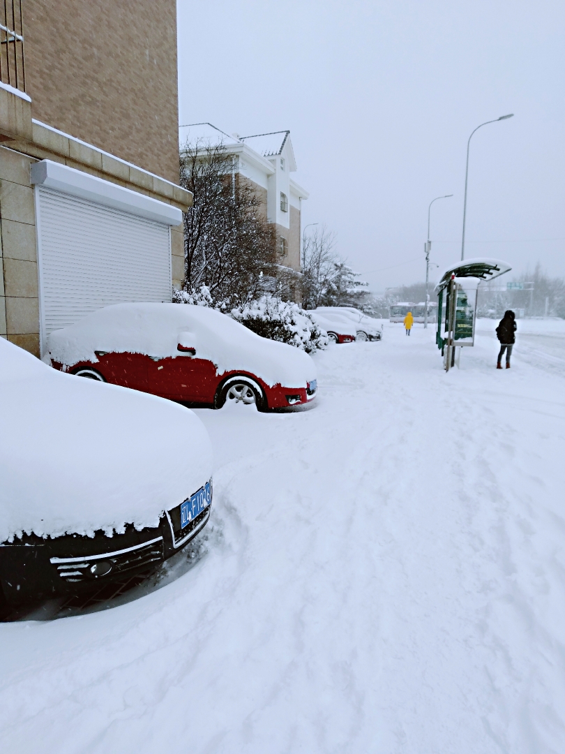 汽车的棚顶和车窗被雪捂得严严实实,公交车站孤独的伫立在风雪中,寥寥