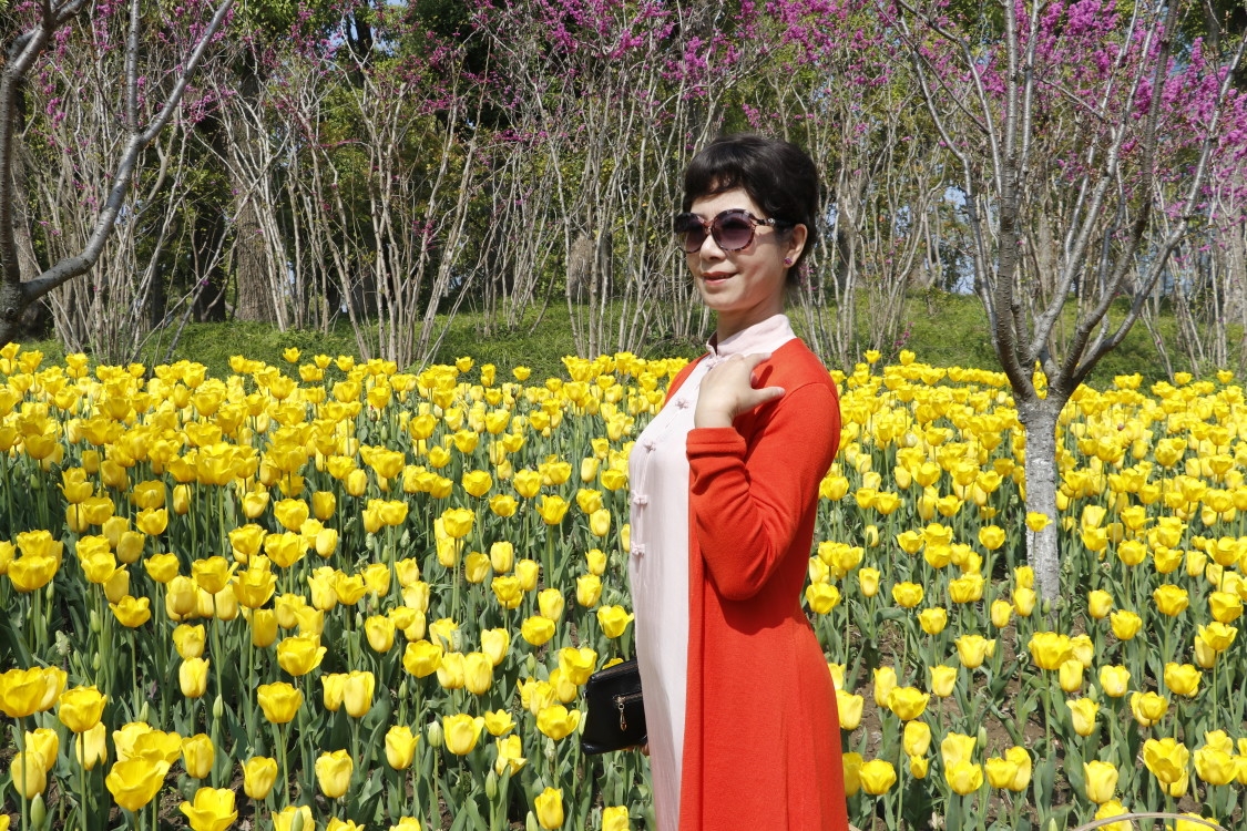 春花满园醉游人