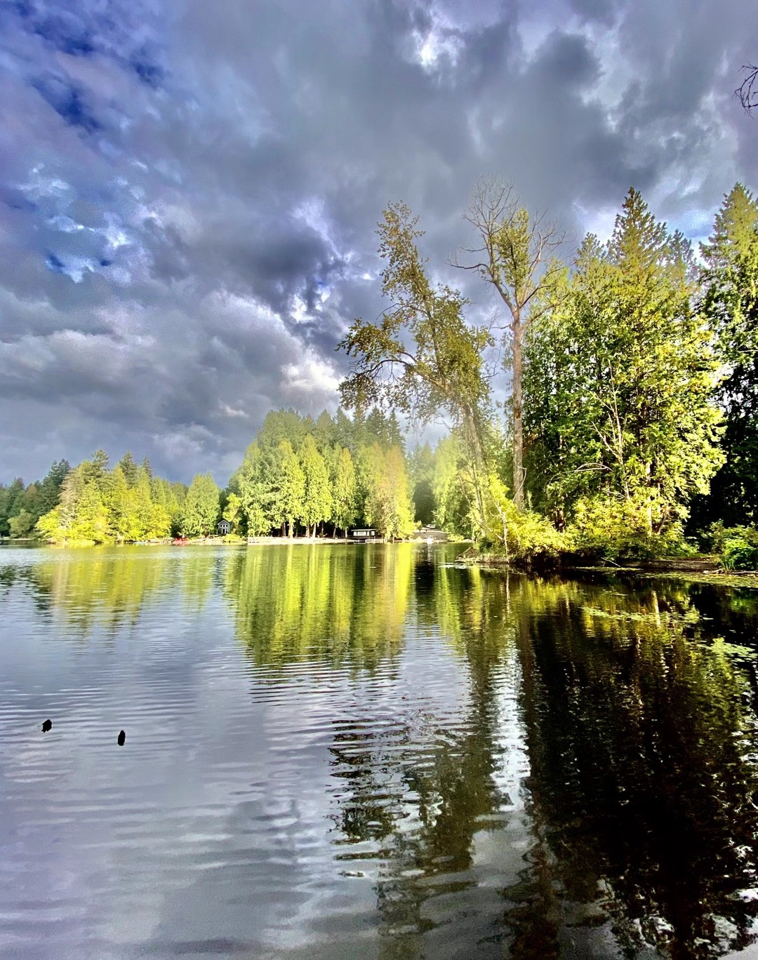 海狸湖beaverlake的美78