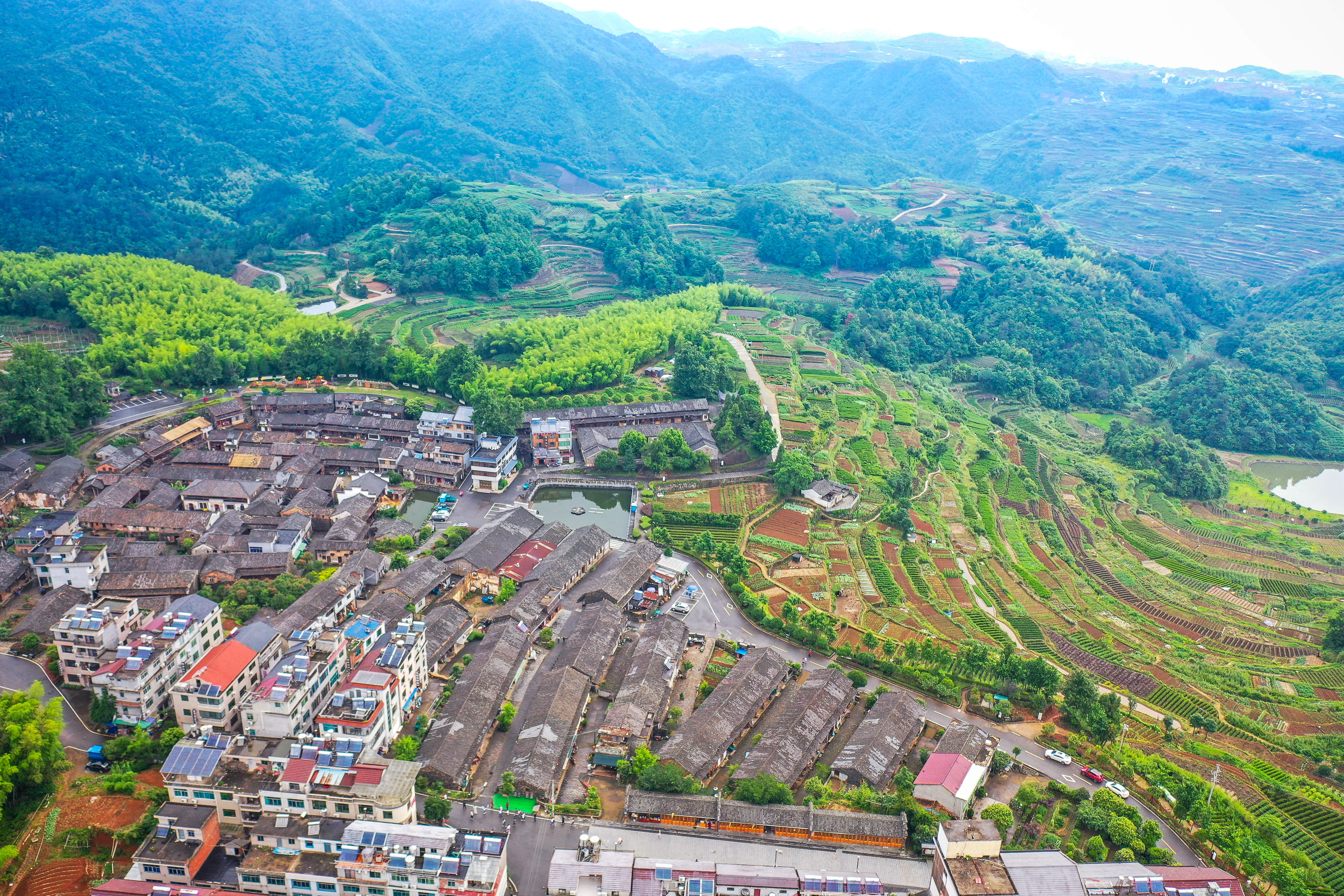 乌石村位于磐安,新昌与天台三县交界处,地处海拔560多米的高山台地之