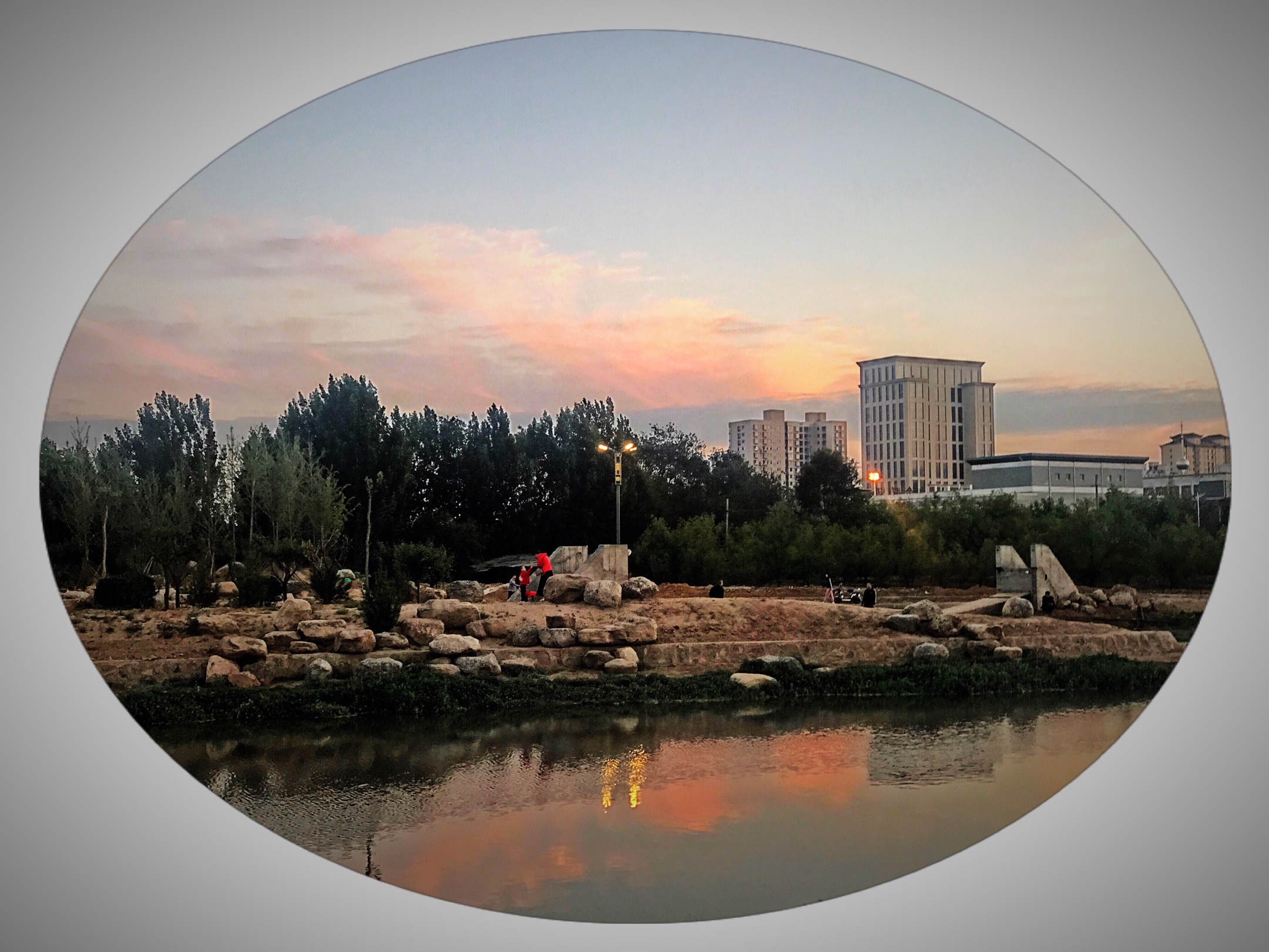 稷山县城城东公园随拍(手机照片)