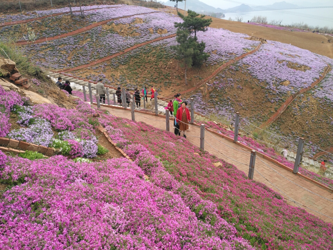 迁安雨花谷图片