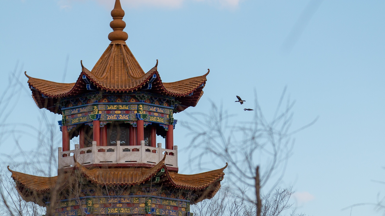 绥化森林植物园