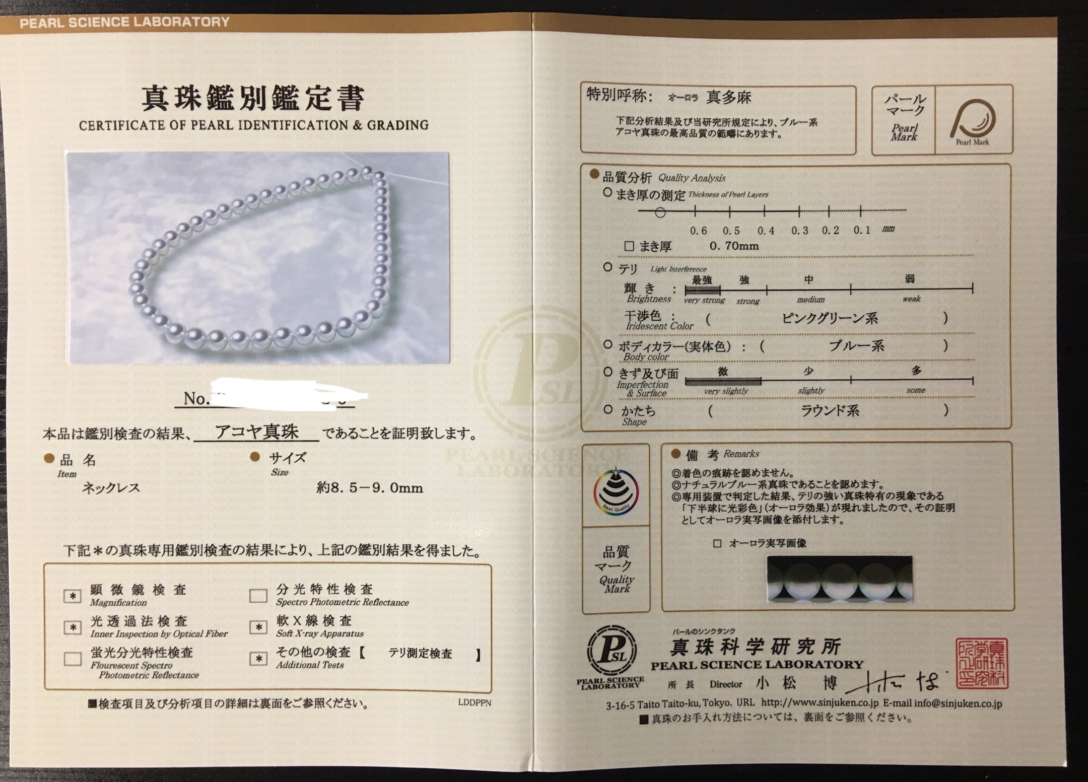 关于《真多麻》众说纷纭