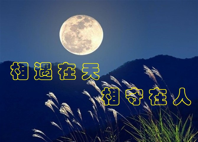 [相遇在天相守在人]文/网络诵读/油画图片/编辑/蓝色多瑙河