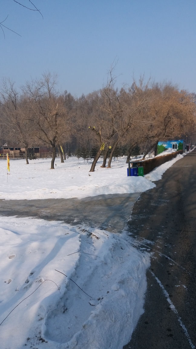 瑞雪豐年,銀裝素裹----賞佳木斯市