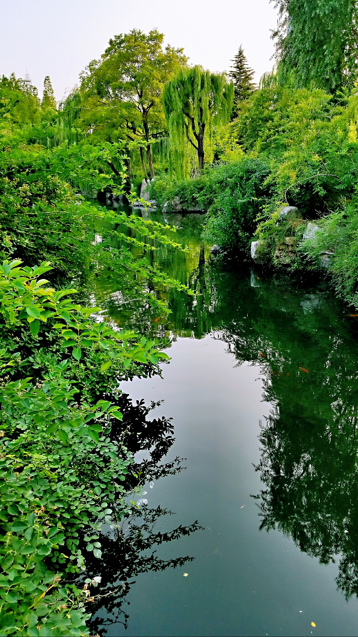 南北造园之精华,是以潭池溪港等景观构成,质朴野逸为特点的园林水景园