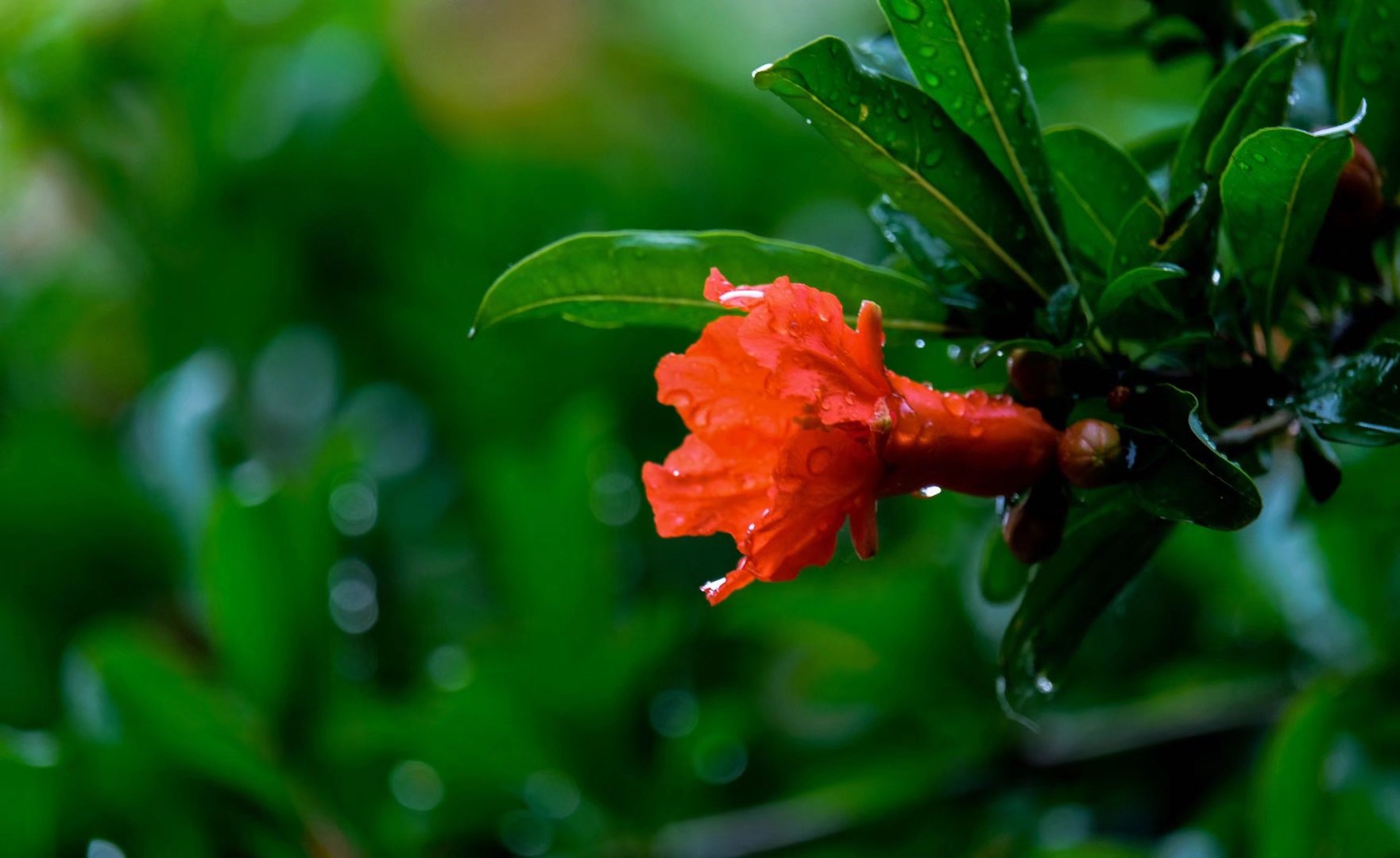 喜欢那细雨绵绵