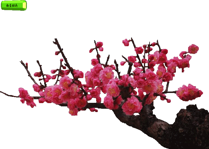 古画中的名画飘香