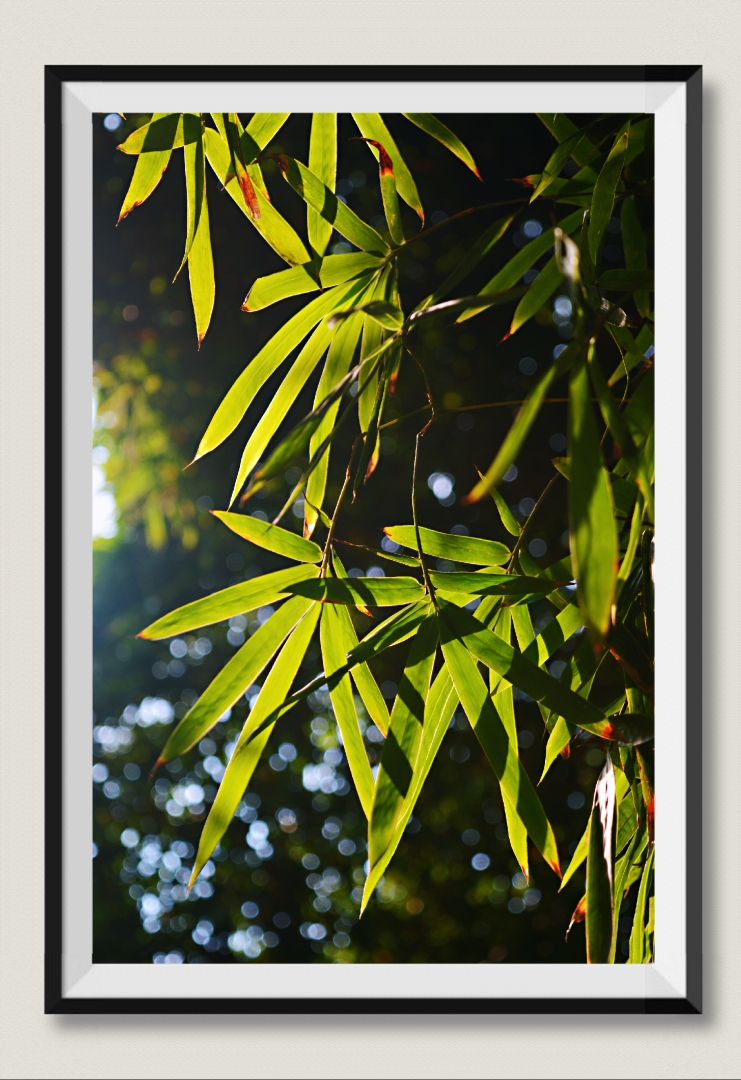 翠竹推荐网站建设的简单介绍