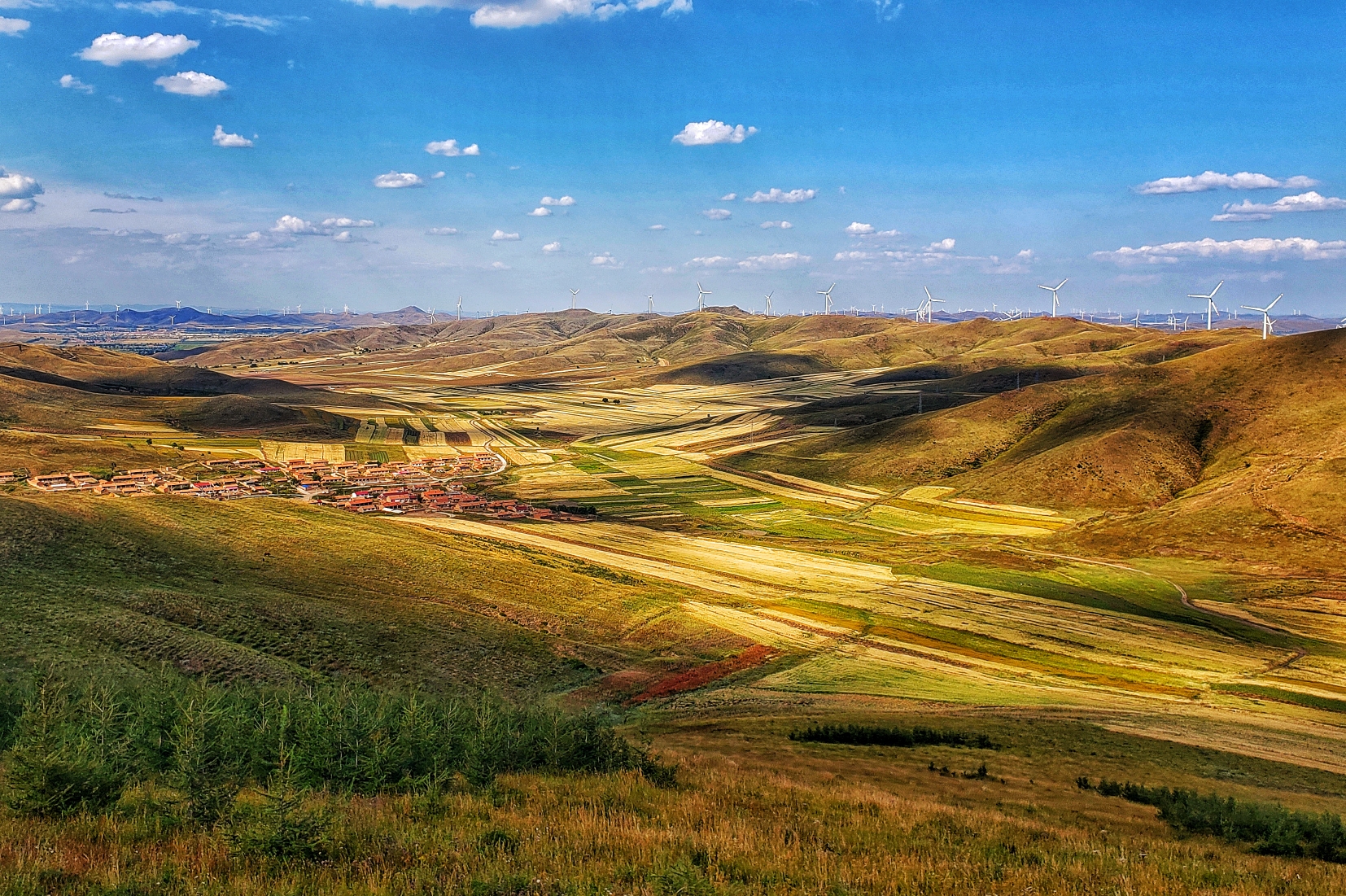 一说到坝上草原,好多人都会想到围场,丰宁,张北,其实沽源
