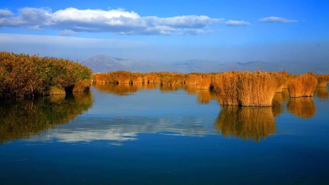 秋水一抹碧残枫几缕红