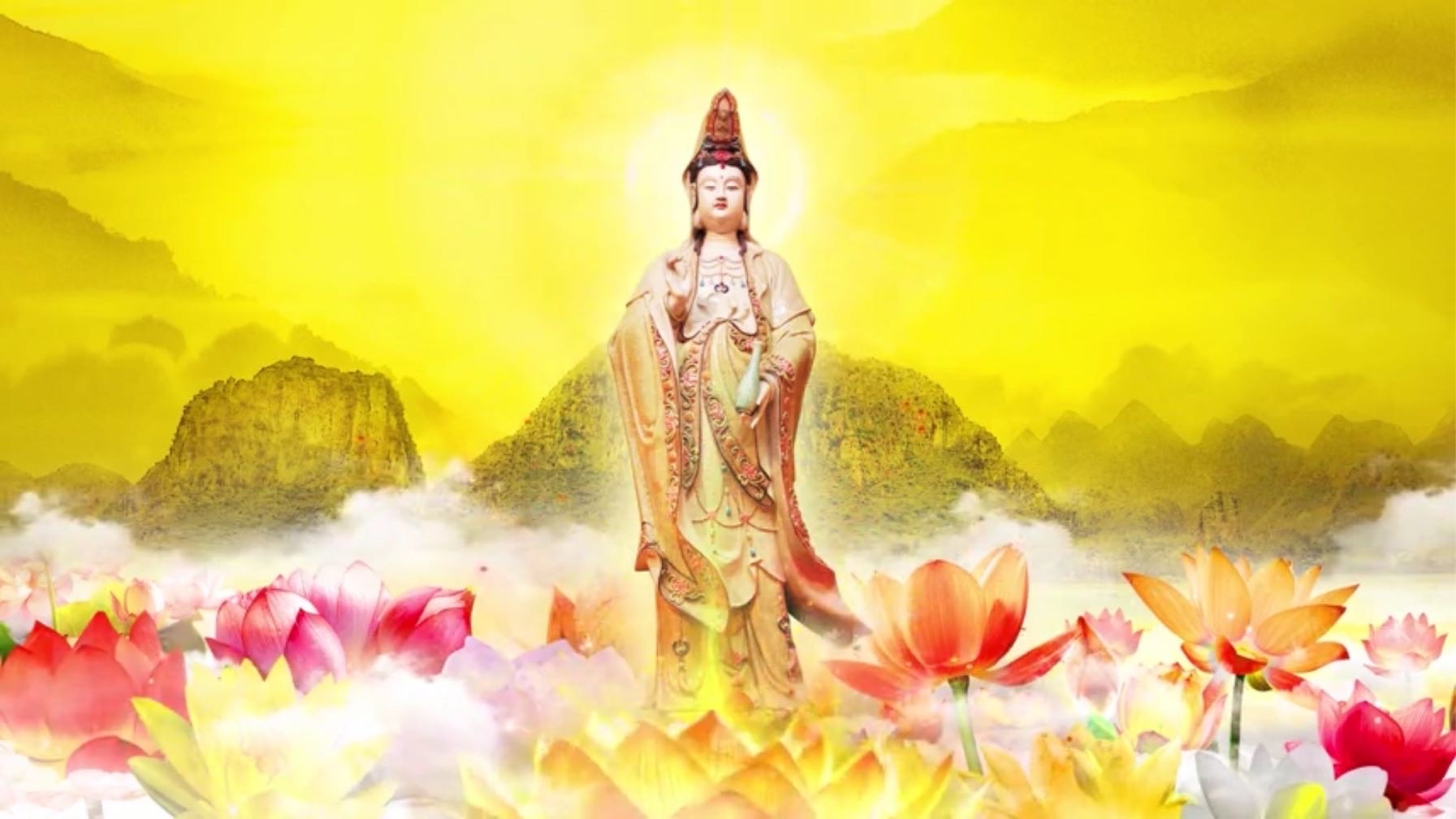 记现在,观世音菩萨又保佑我的大儿子考上大学了xlfm是多么的