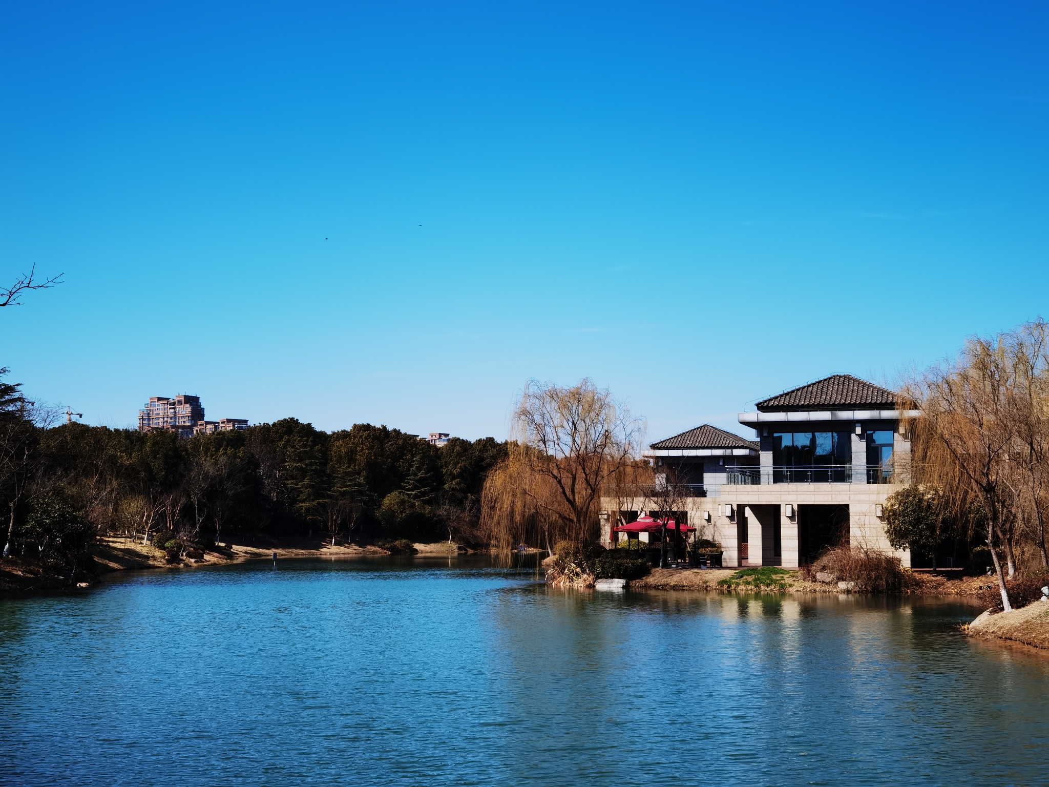 水盪漾,魚歡躍,百鳥鳴春竟歌喉.