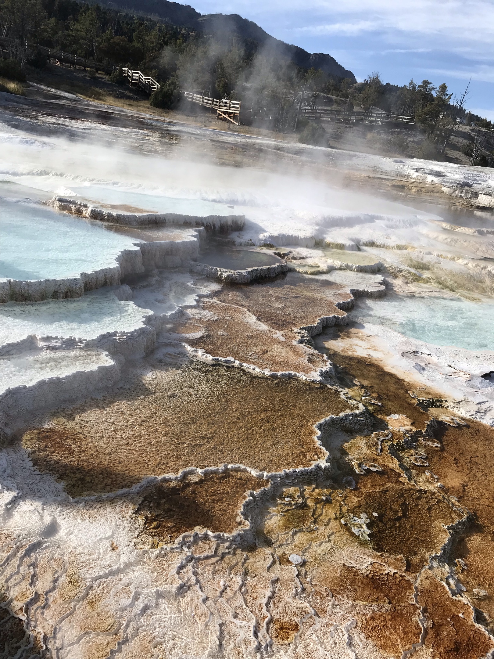 黄石国家公园见闻:猛犸象温泉 (mammoth hot springs)