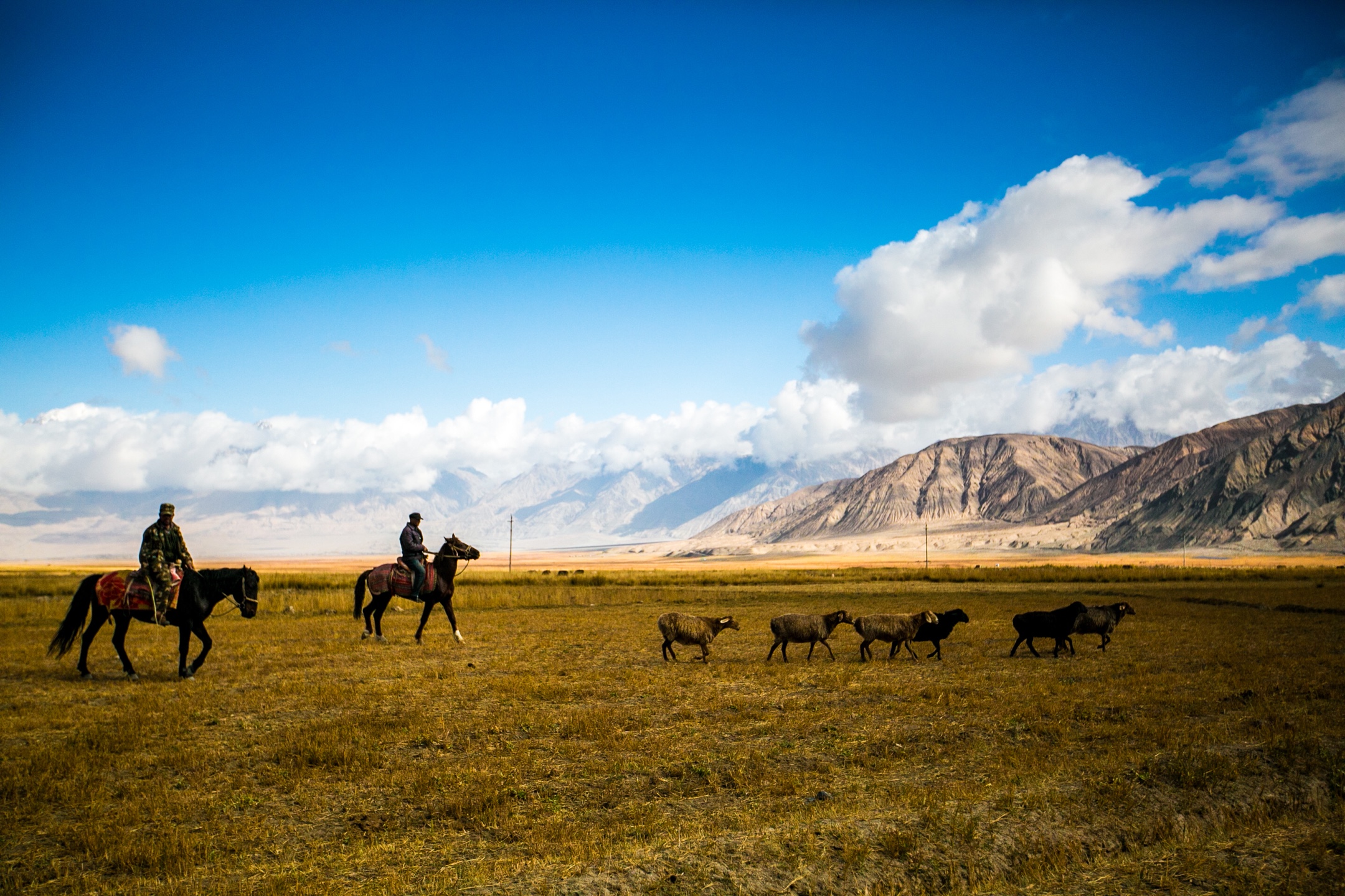 祖国江山美如画 西北风光无限好