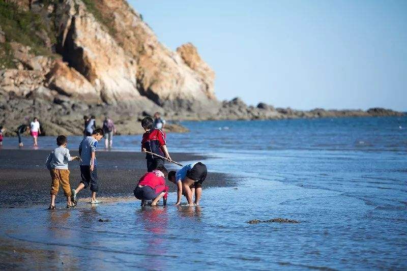 8月19庄河蛤蜊岛旅游度假村赶海拾贝(海螺)戏水一日游