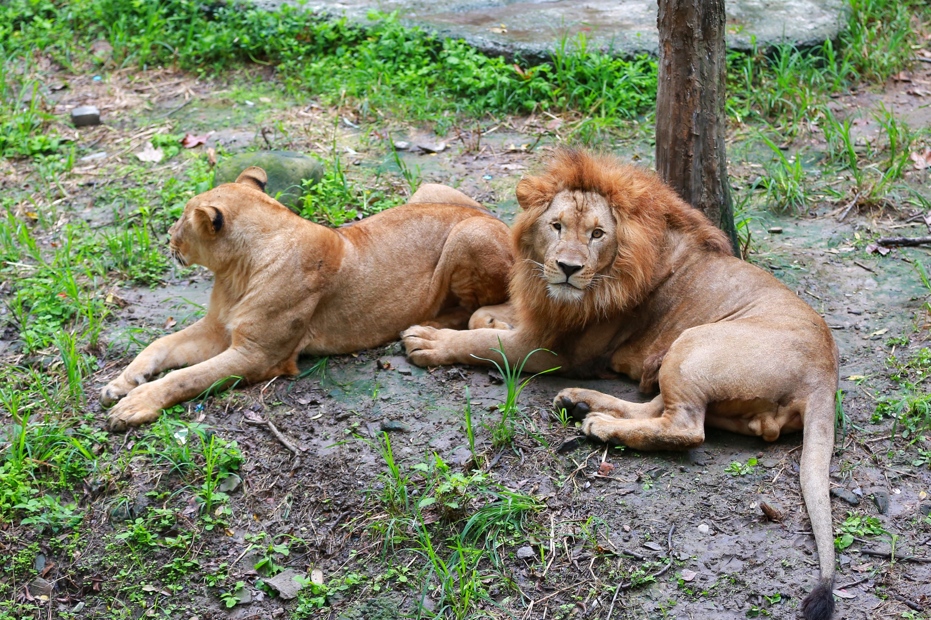 动物园里的它们