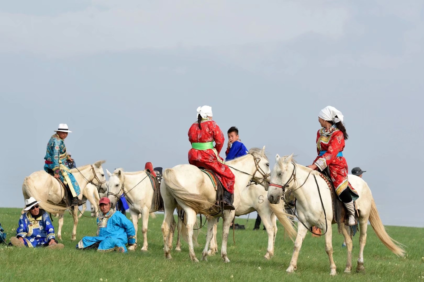 草原上的那达慕与蒙古白马!