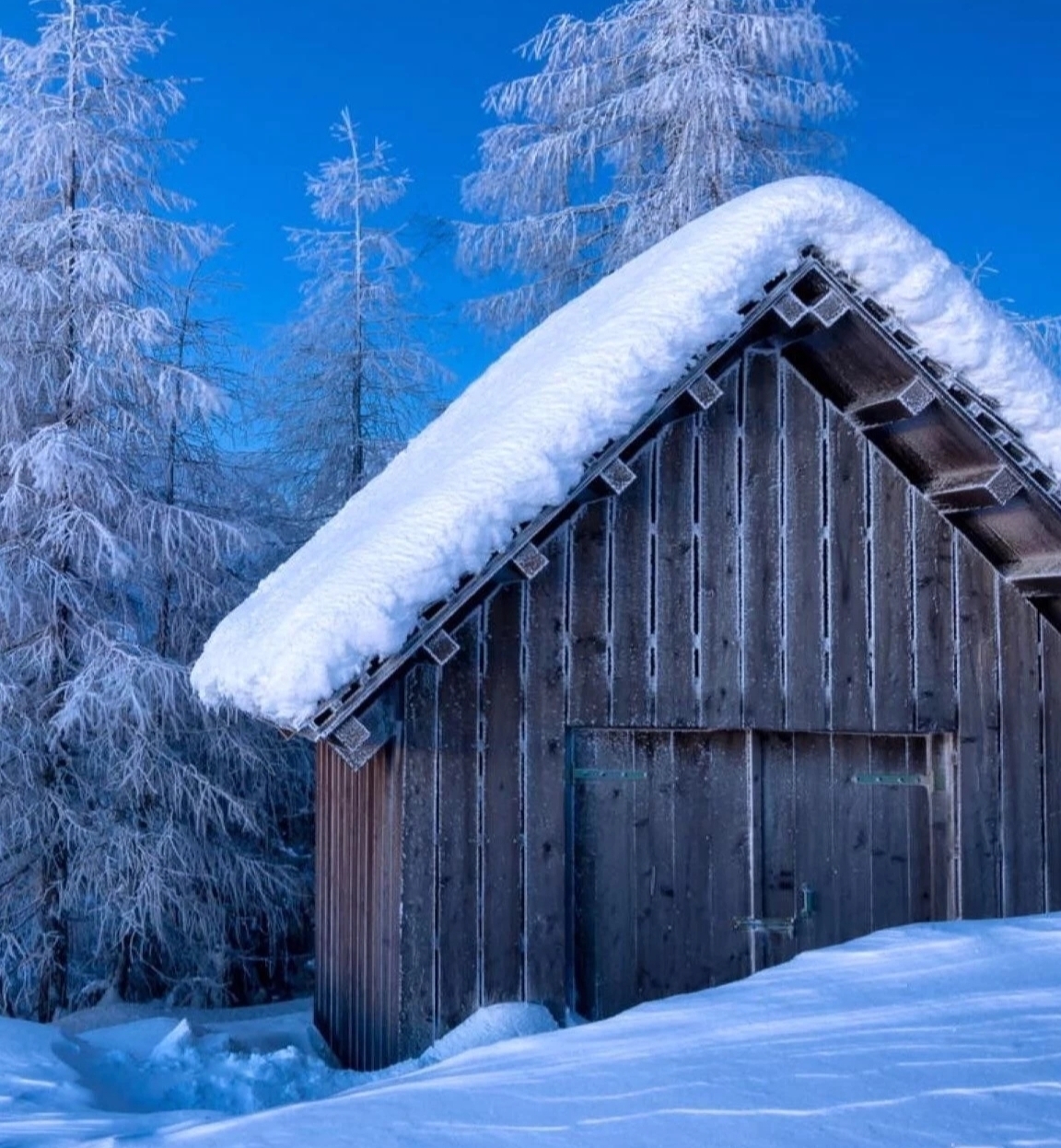 冬雪 作者 牧歌