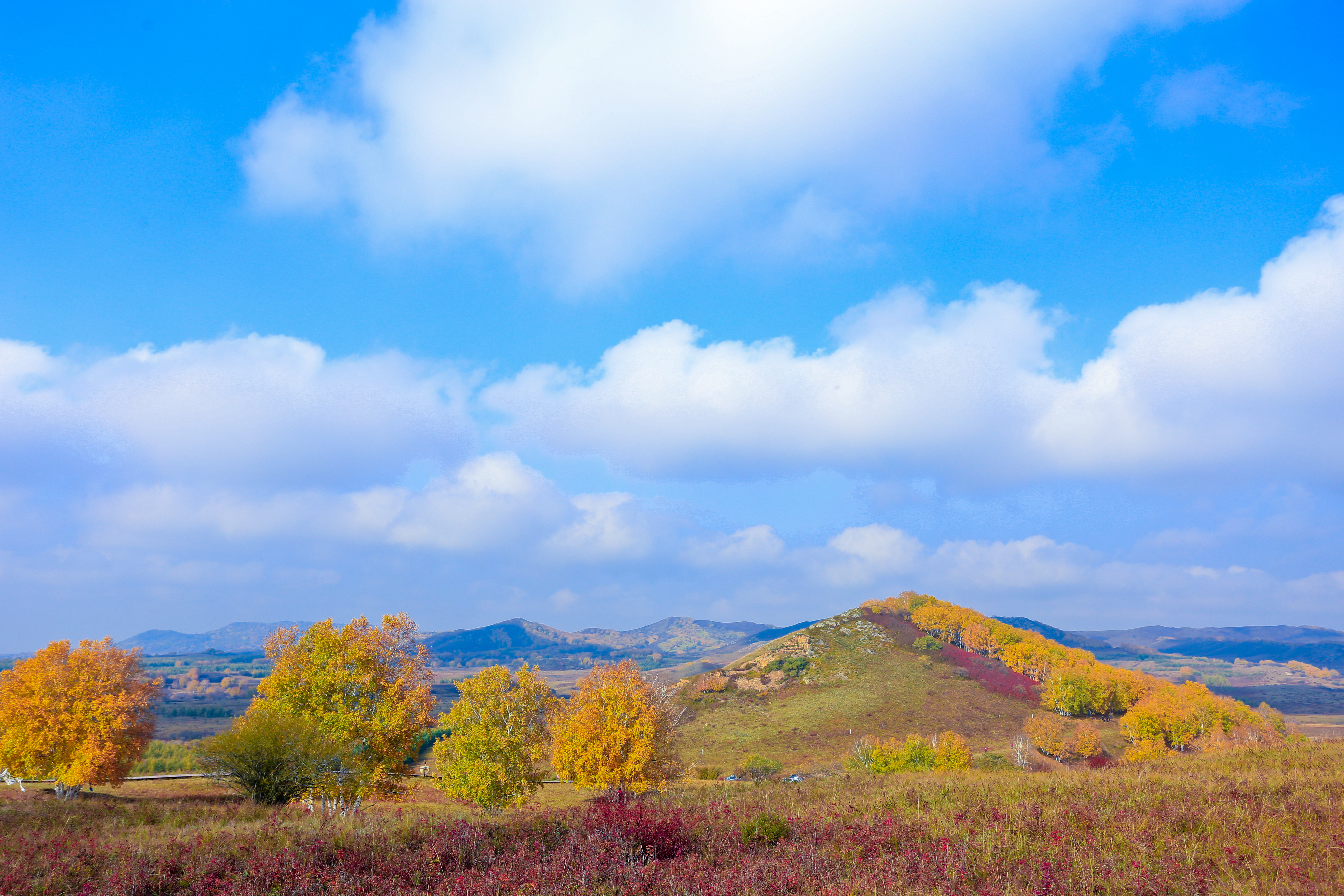 大草原,蓝天白云我的家