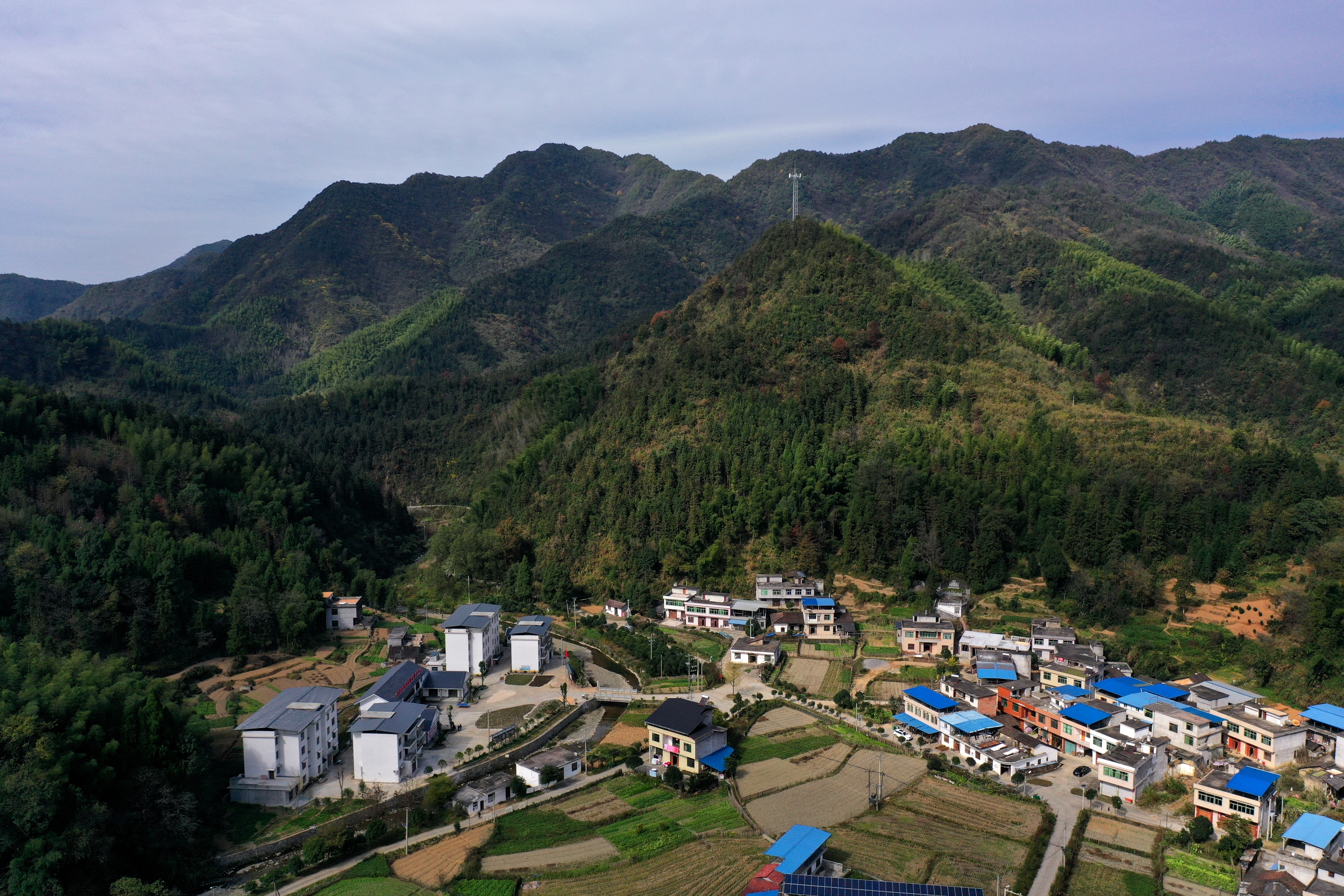 巧家县金塘镇图片