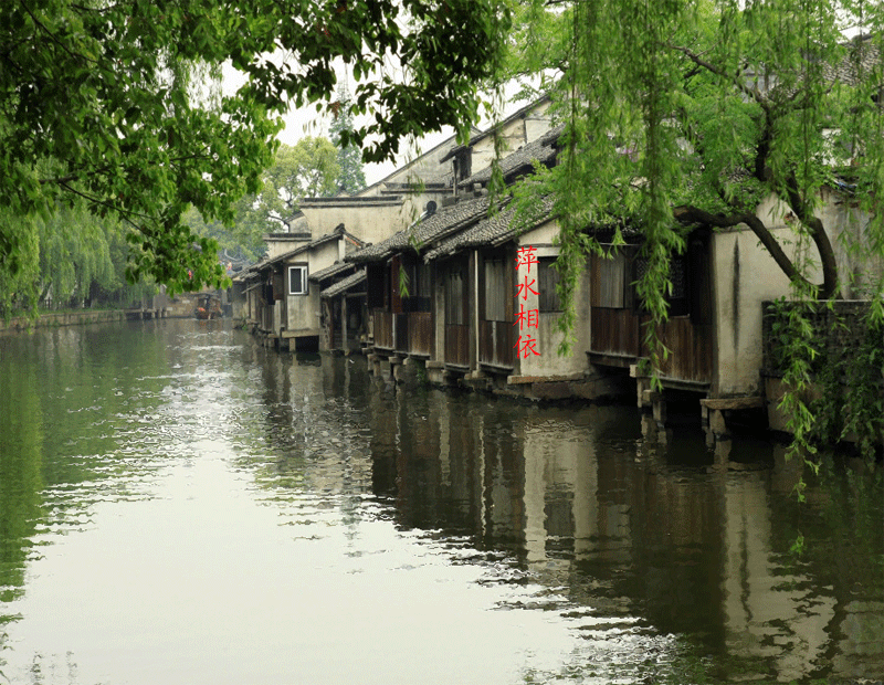 【凤凰诗社】美洲总社一分社Ⅱ第84期《江南烟雨时》现代诗专辑