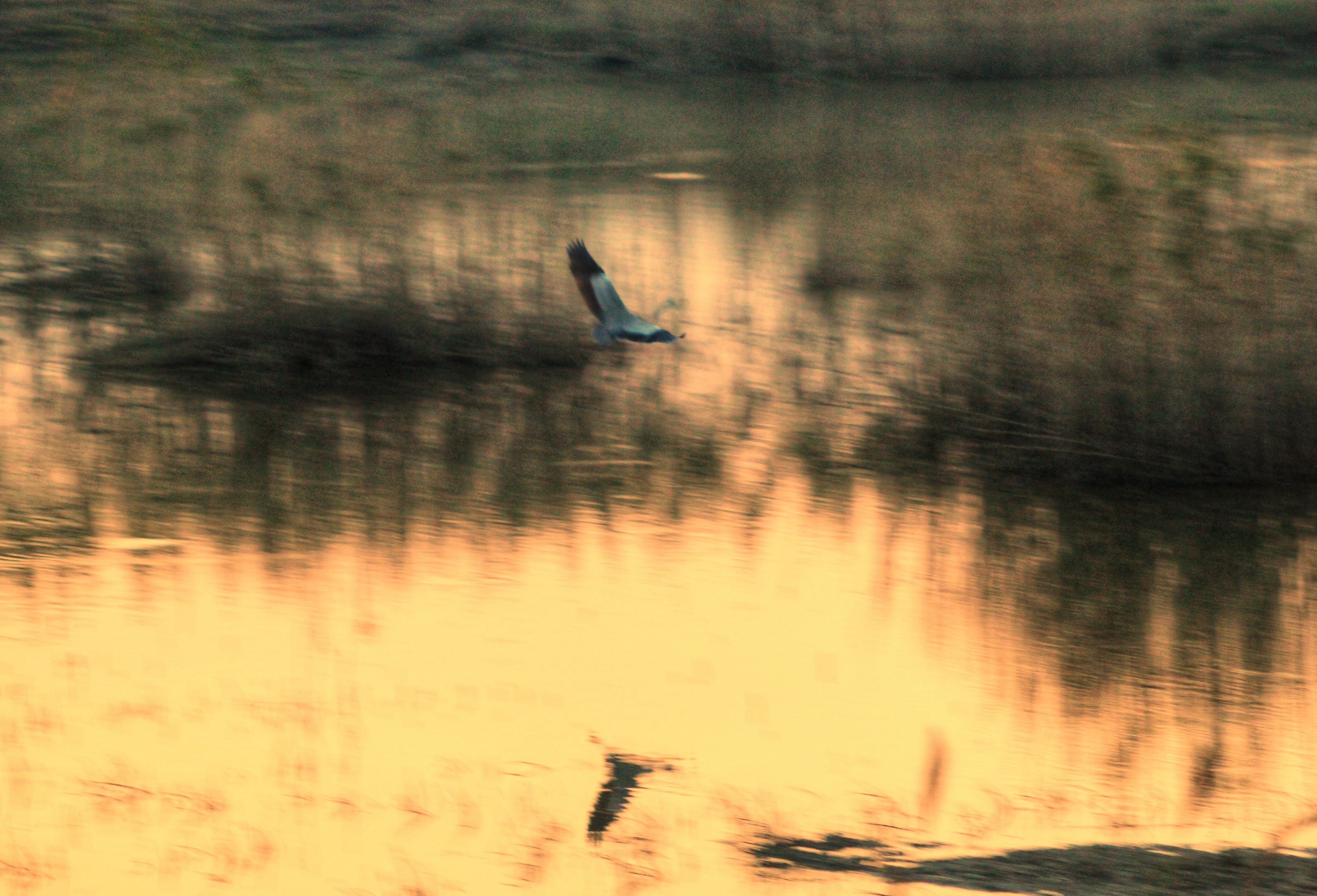 残阳铺水漫湖染透