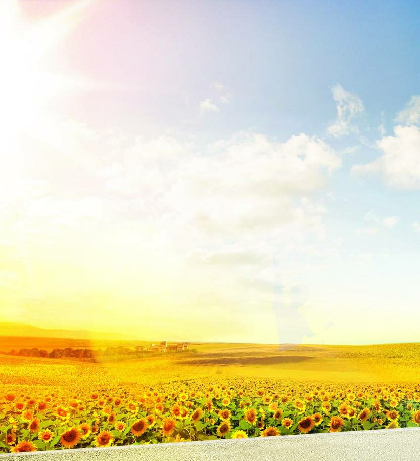 「首发」十月,我站在金色的大地上(450)