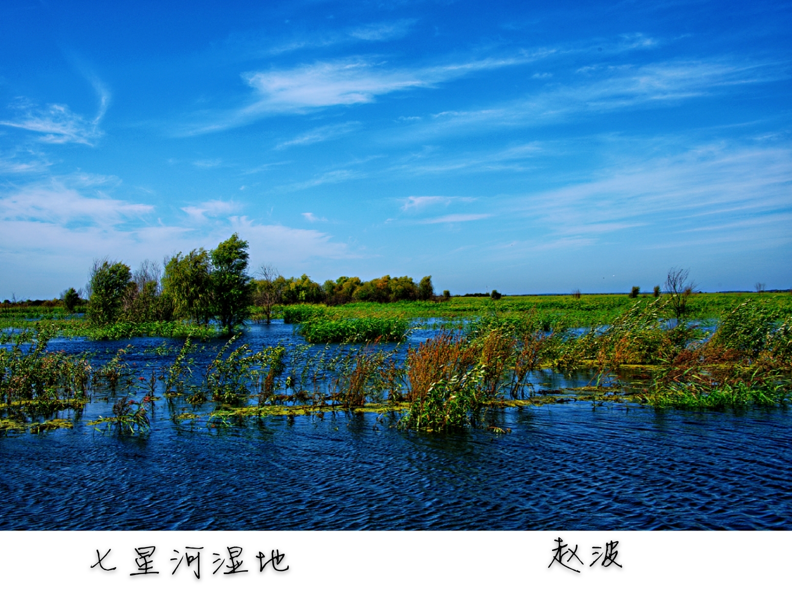 建三江七星河湿地风光