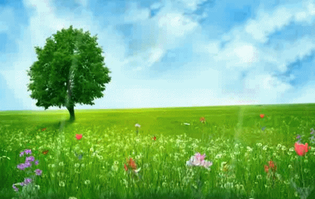 642_407gif 动态图 动图