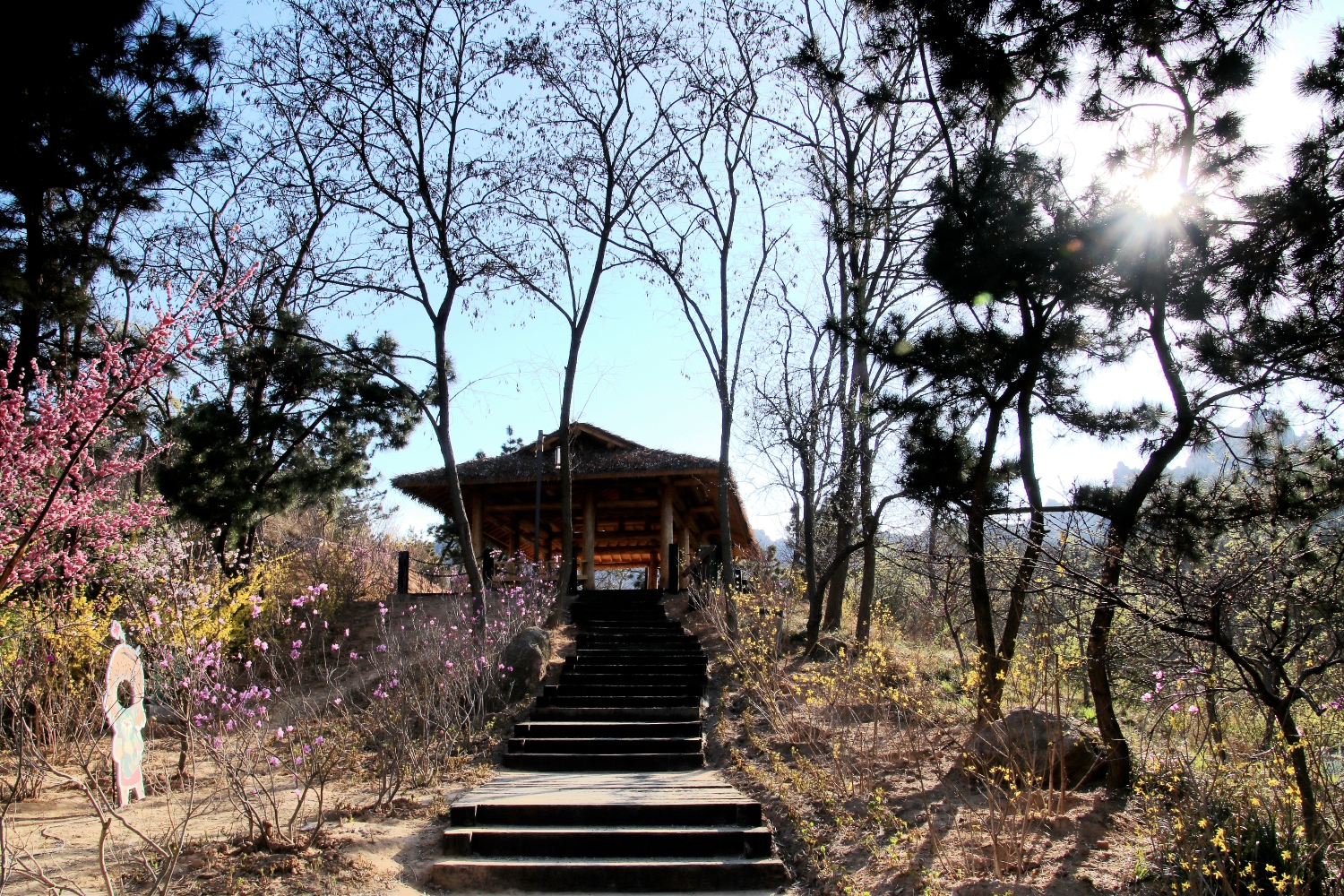 《我的春天因为有了你生活多风采》初次独闯青岛大珠山风景区珠山秀谷