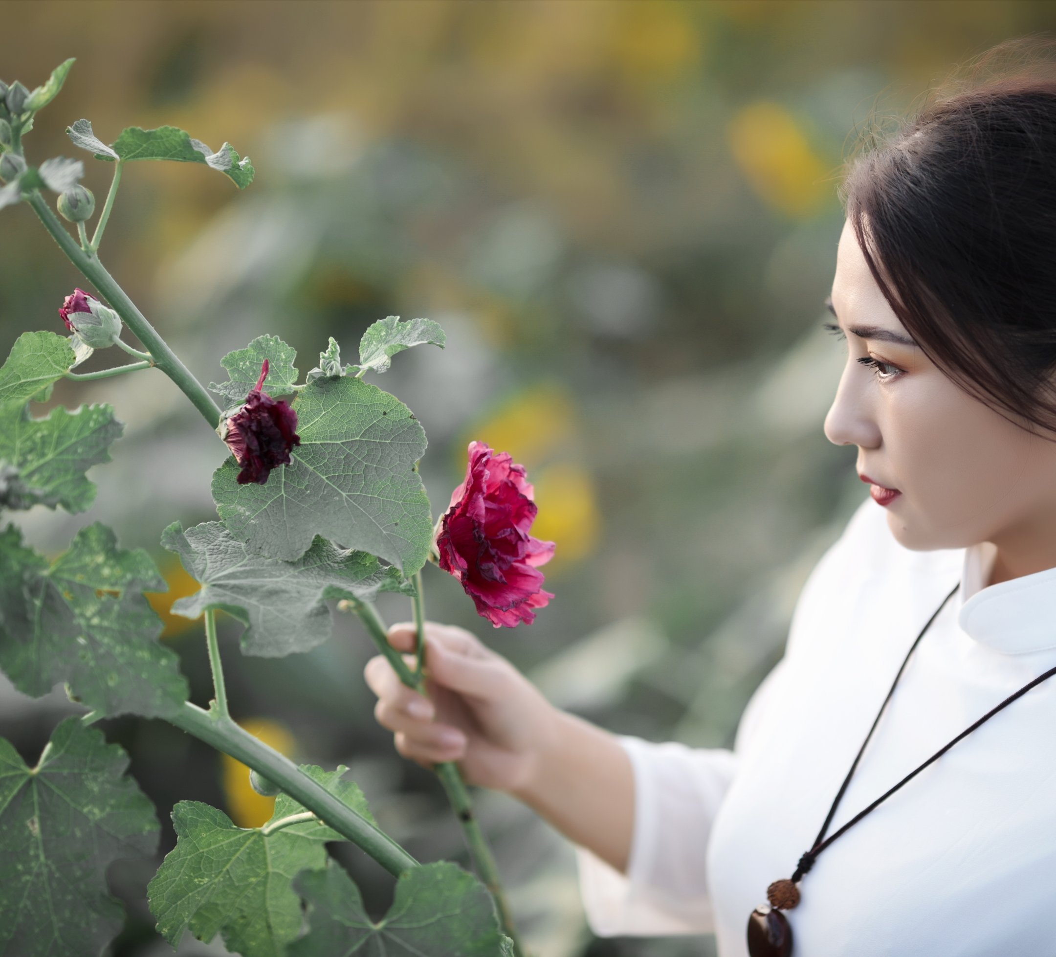 拿一枝花女人唯美图片图片