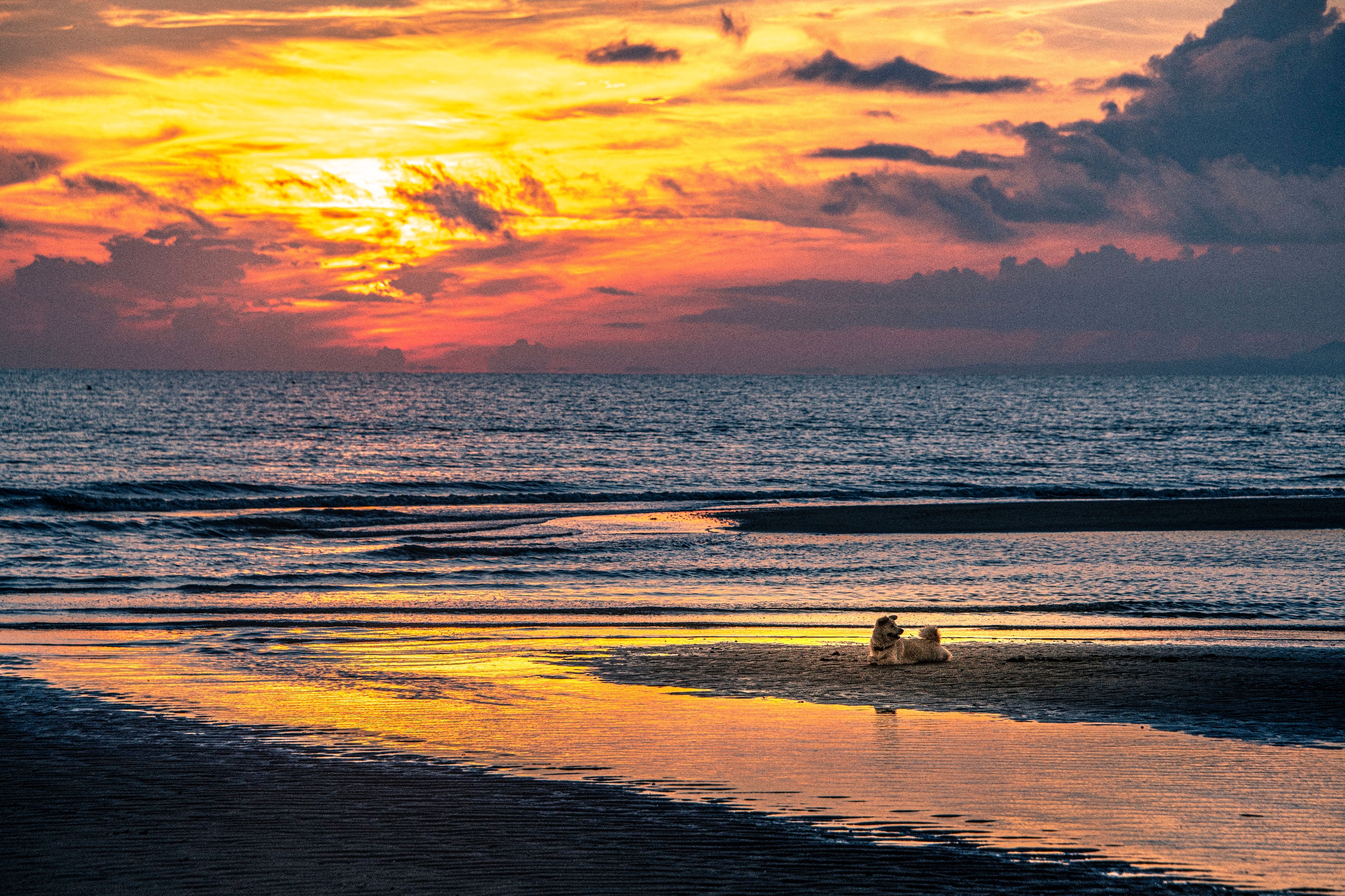 [文声汇影]微信摄影风景合辑第二十六期