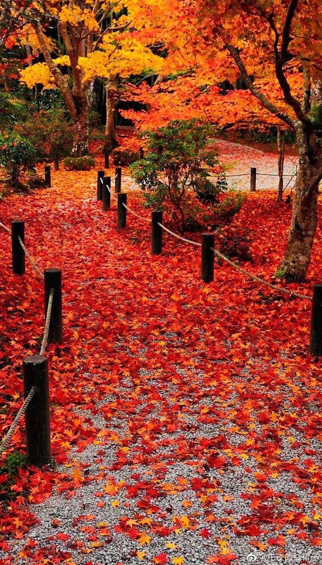黄昏暮色里,谁与我相约
