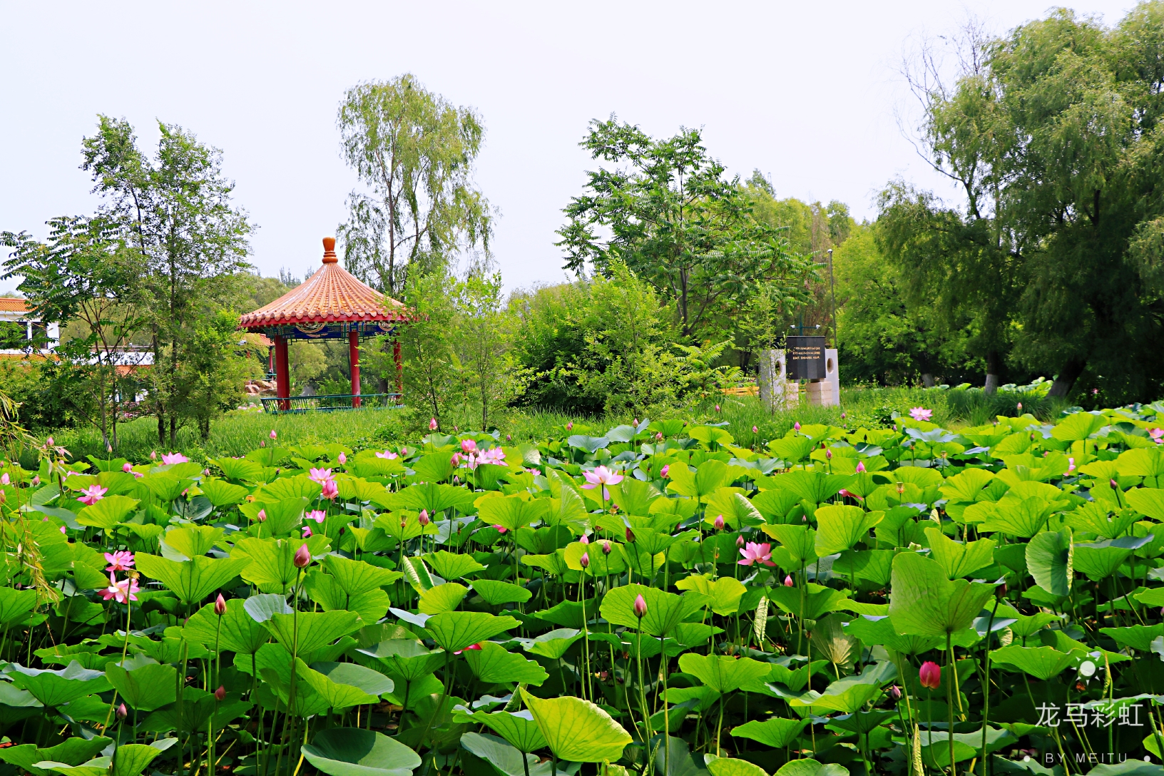 盤錦湖濱公園